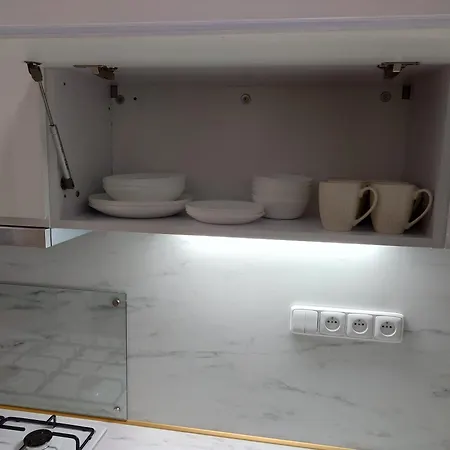 Appartamento V Historickém Centru Ostravy *