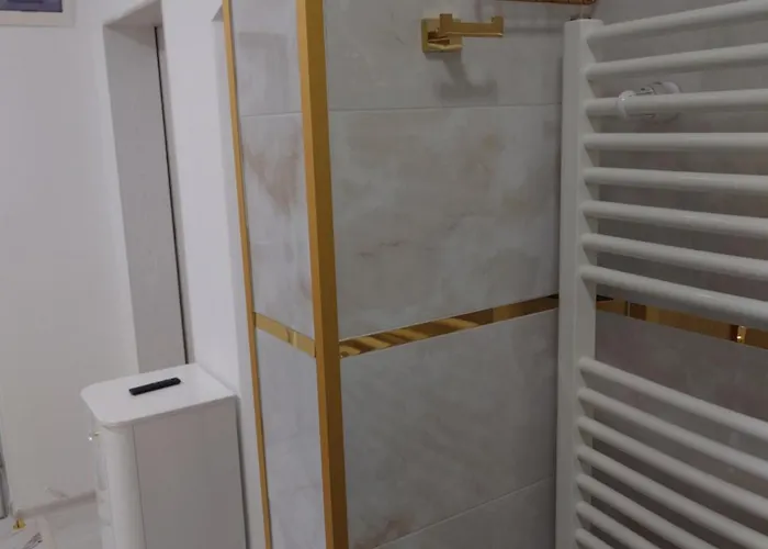 Daire V Historickem Centru Ostravy Ostrava